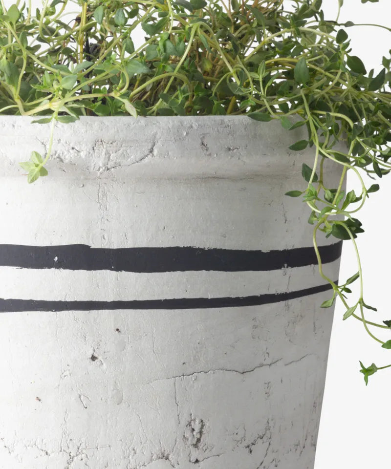 Lisbon Herb Pot - Large | French Country