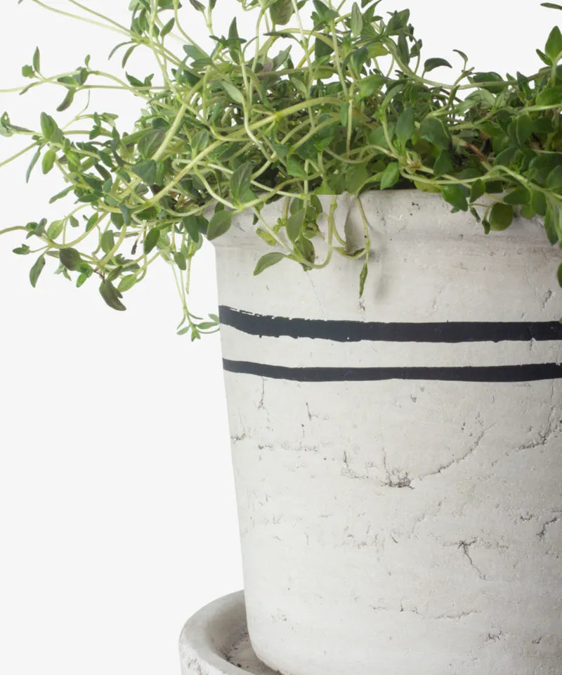 Lisbon Herb Pot - Medium | French Country