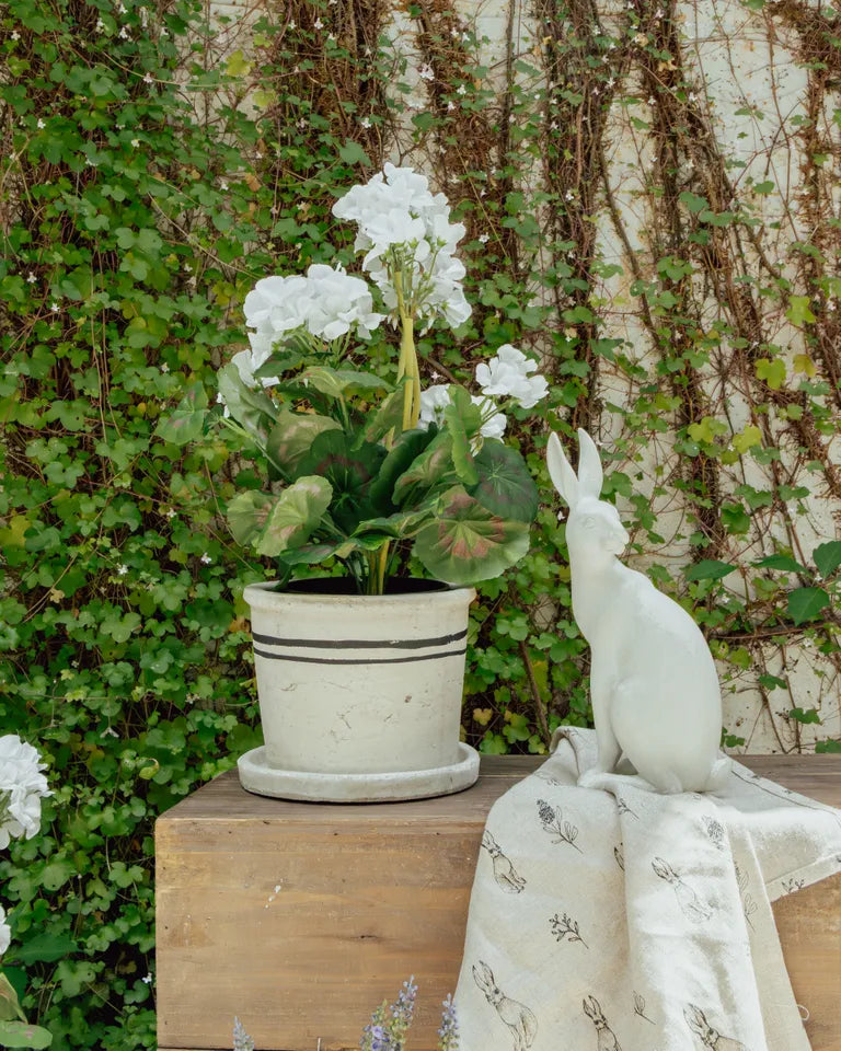 Harold the Hare Turning - Small - White | French Country