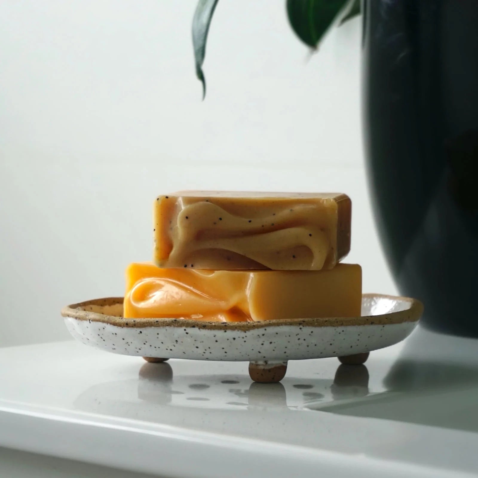 Lemony Snicket Natural Face Wash | Fair & Square
