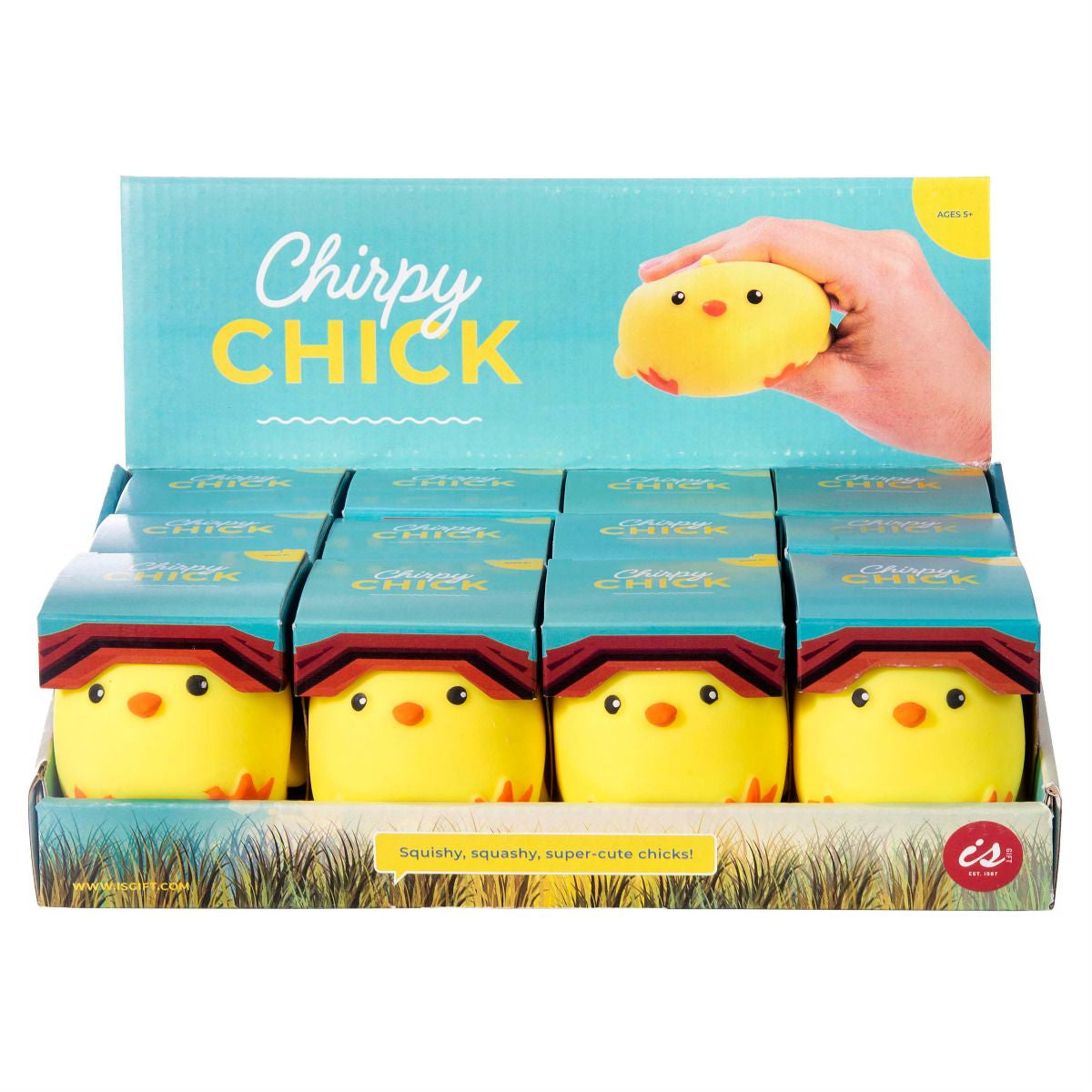 Chirpy Chick | Discovery Zone