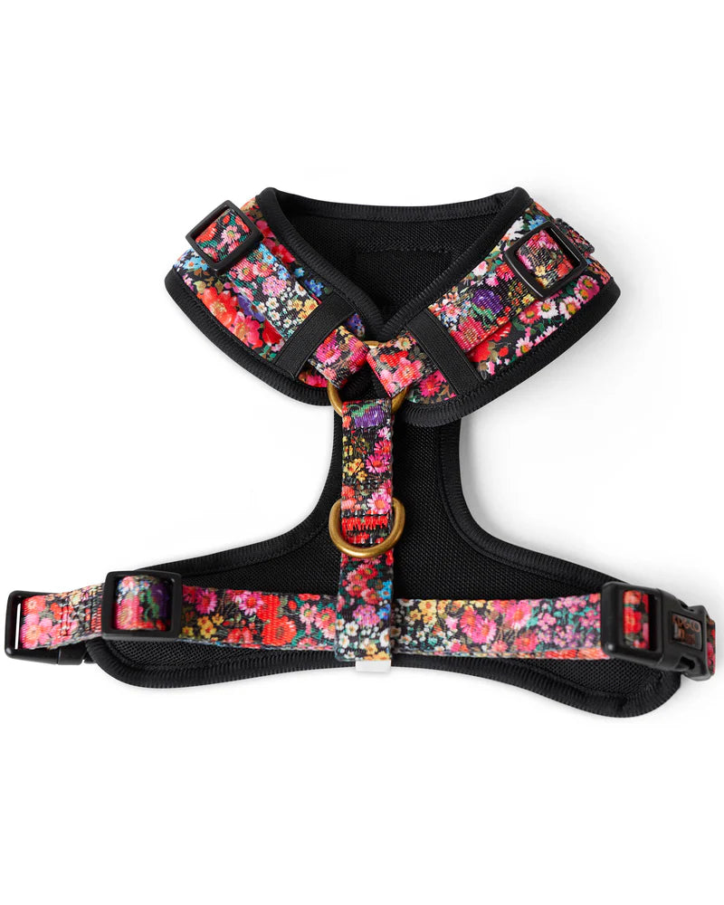 Dog Harness - Forever Floral Black | Kip & Co