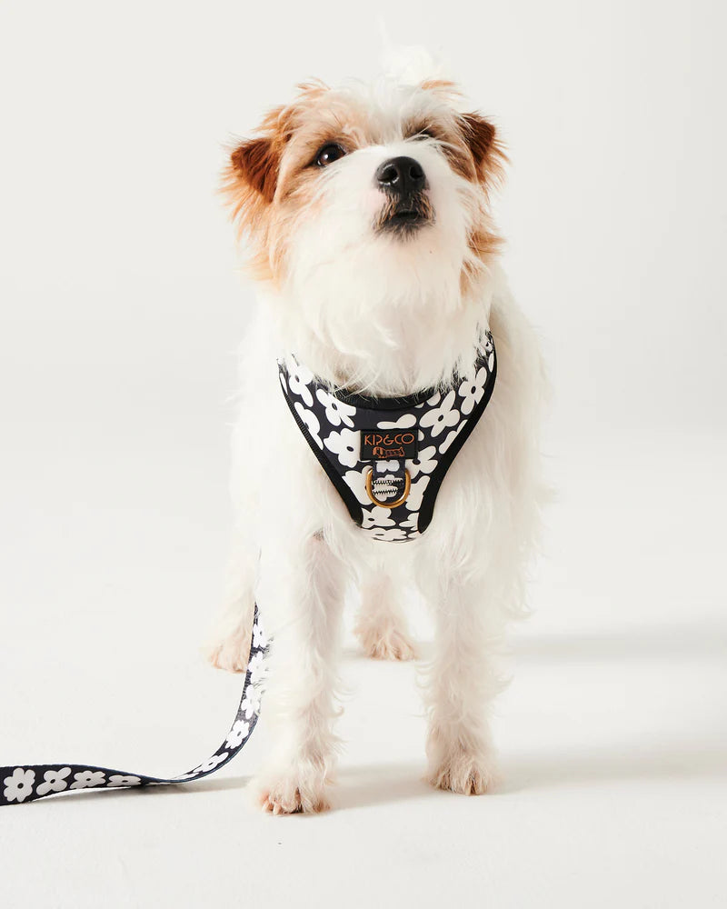 Dog Harness - Flower Face | Kip & Co