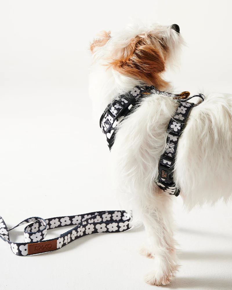 Dog Harness - Flower Face | Kip & Co