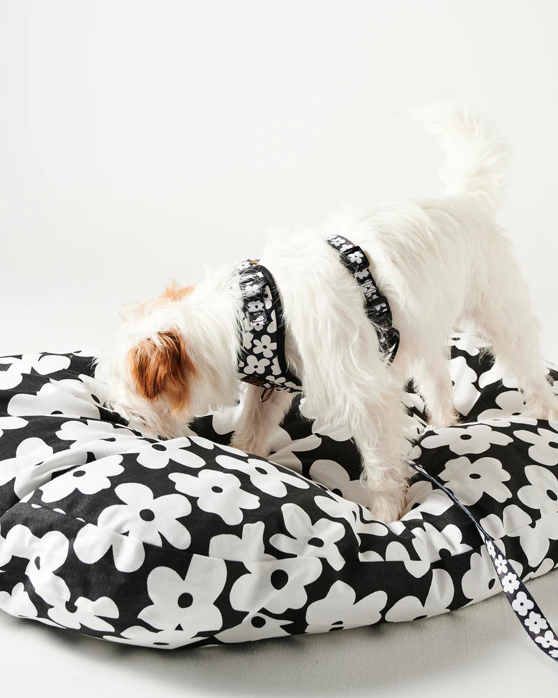 Dog Harness - Flower Face | Kip & Co