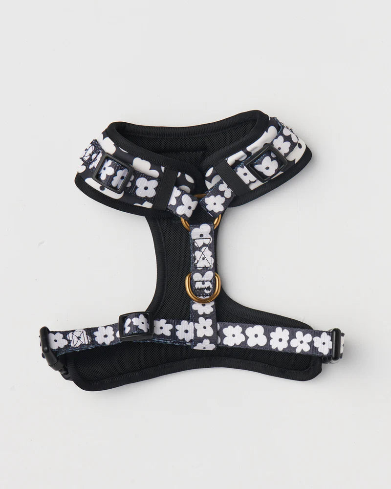 Dog Harness - Flower Face | Kip & Co