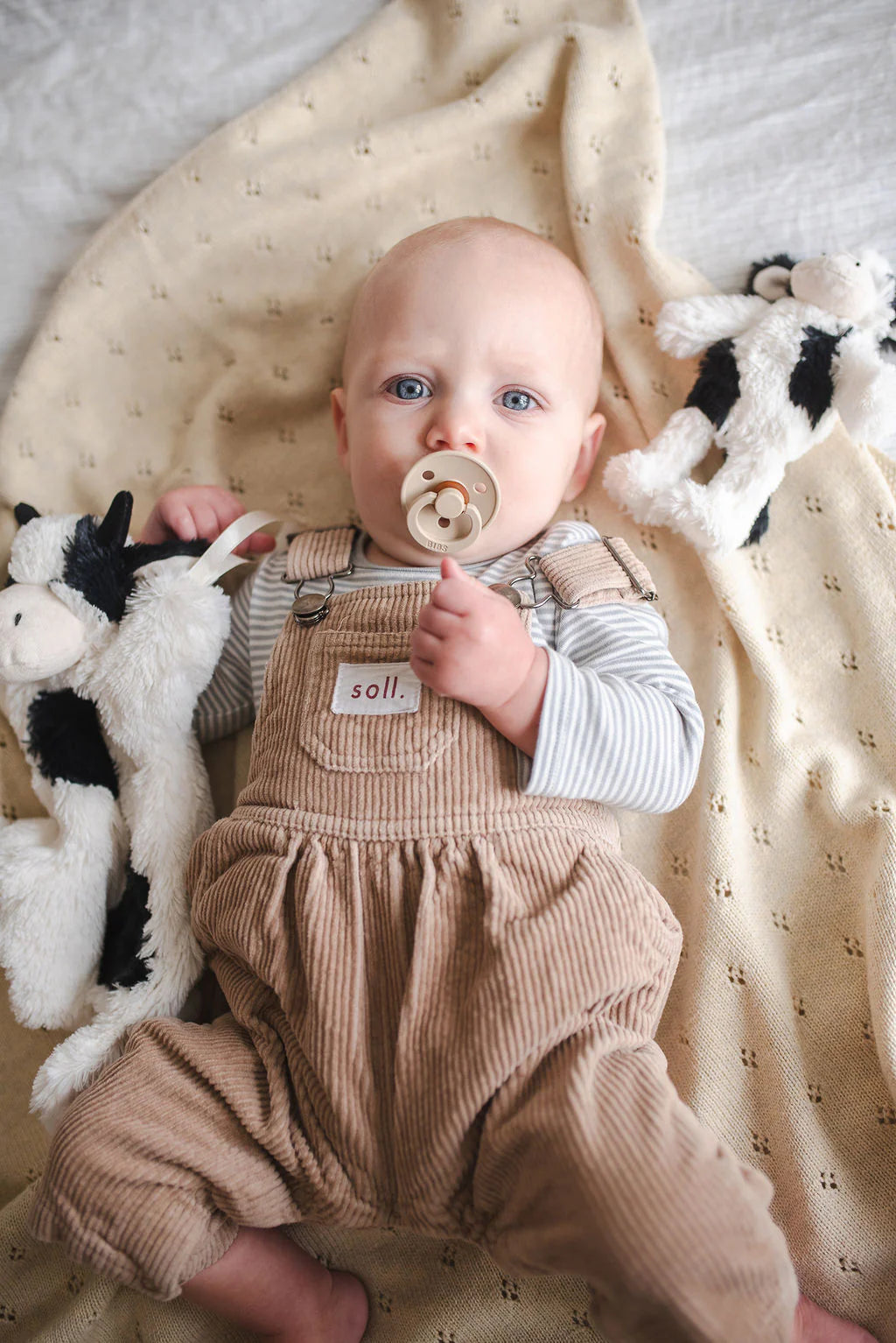 Mini Clover the Cow Rattle - Black | Nana Huchy