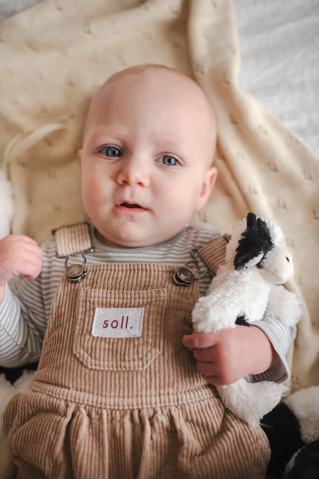 Mini Clover the Cow Rattle - Black | Nana Huchy