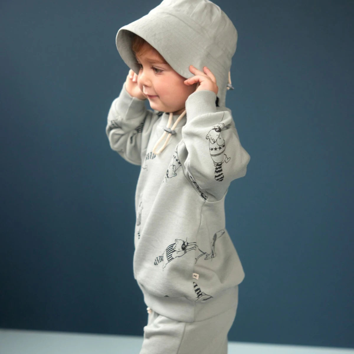 EMERSON SWEATER - Raccoon Rhapsody Print | Nature Baby