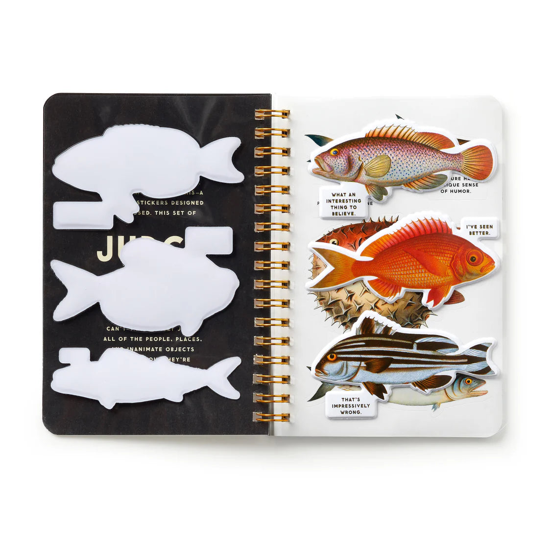 Judgy Fish Sticker Book Multi-Coloured | Brass Monkey