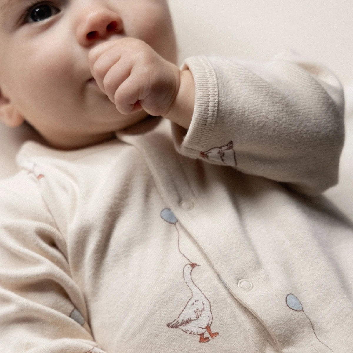 STRETCH & GROW - Goose Lullaby Print | Nature Baby