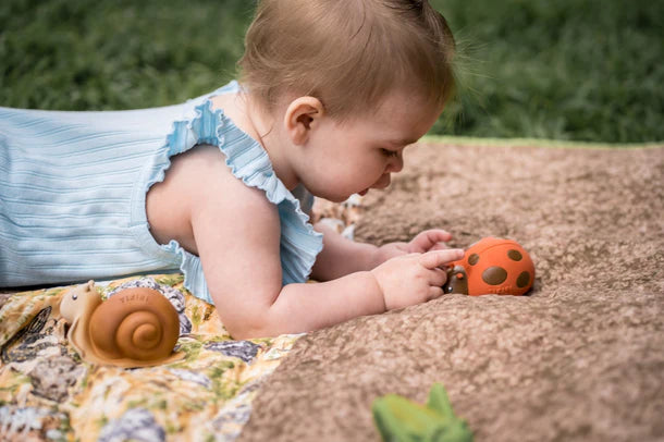 Garden Friends || Ladybug | Tikiri