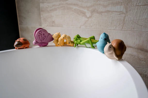 Garden Friends || Snail | Tikiri