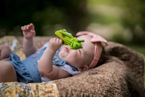 Garden Friends || Grasshopper| Tikiri