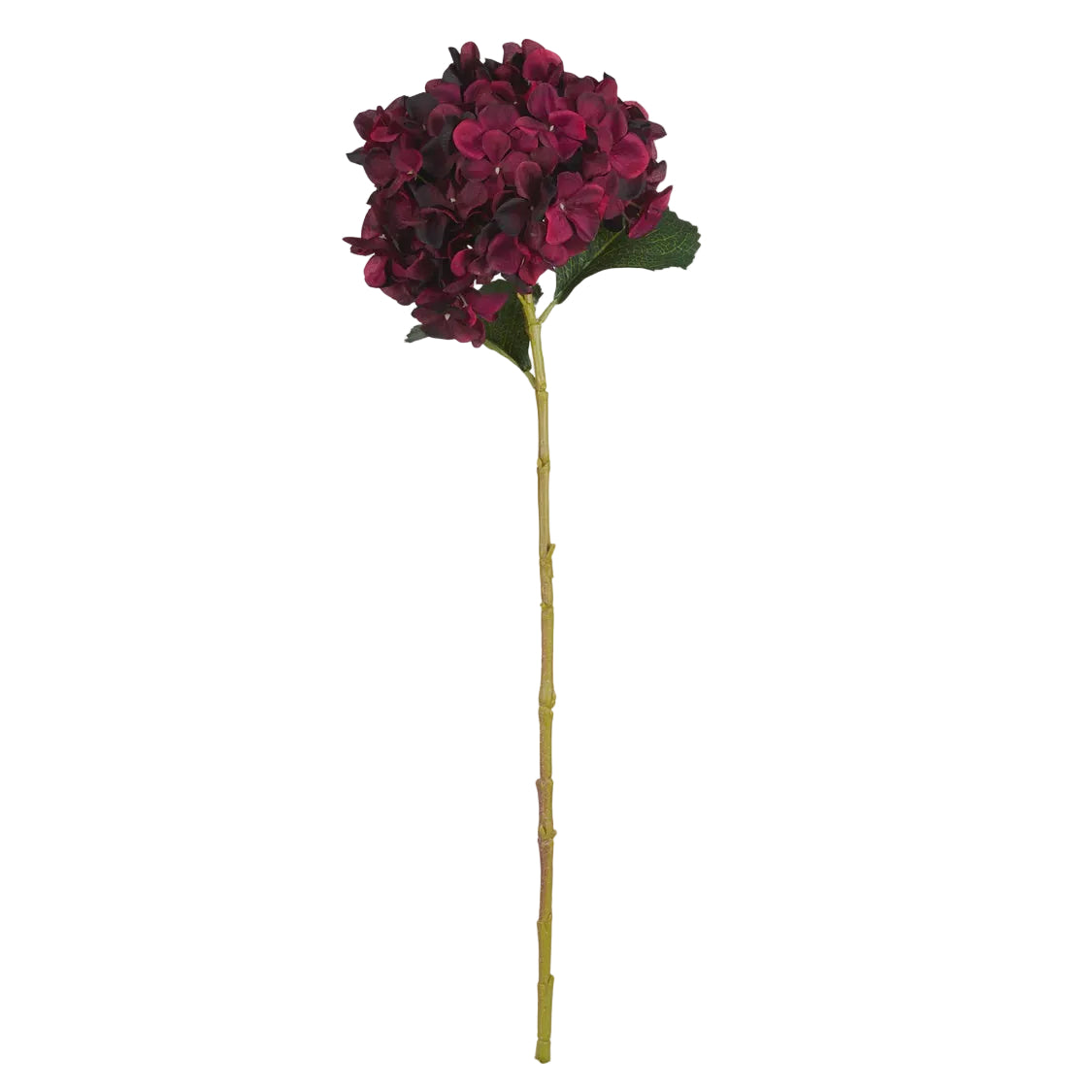 Hydrangea Stem Red | Rogue