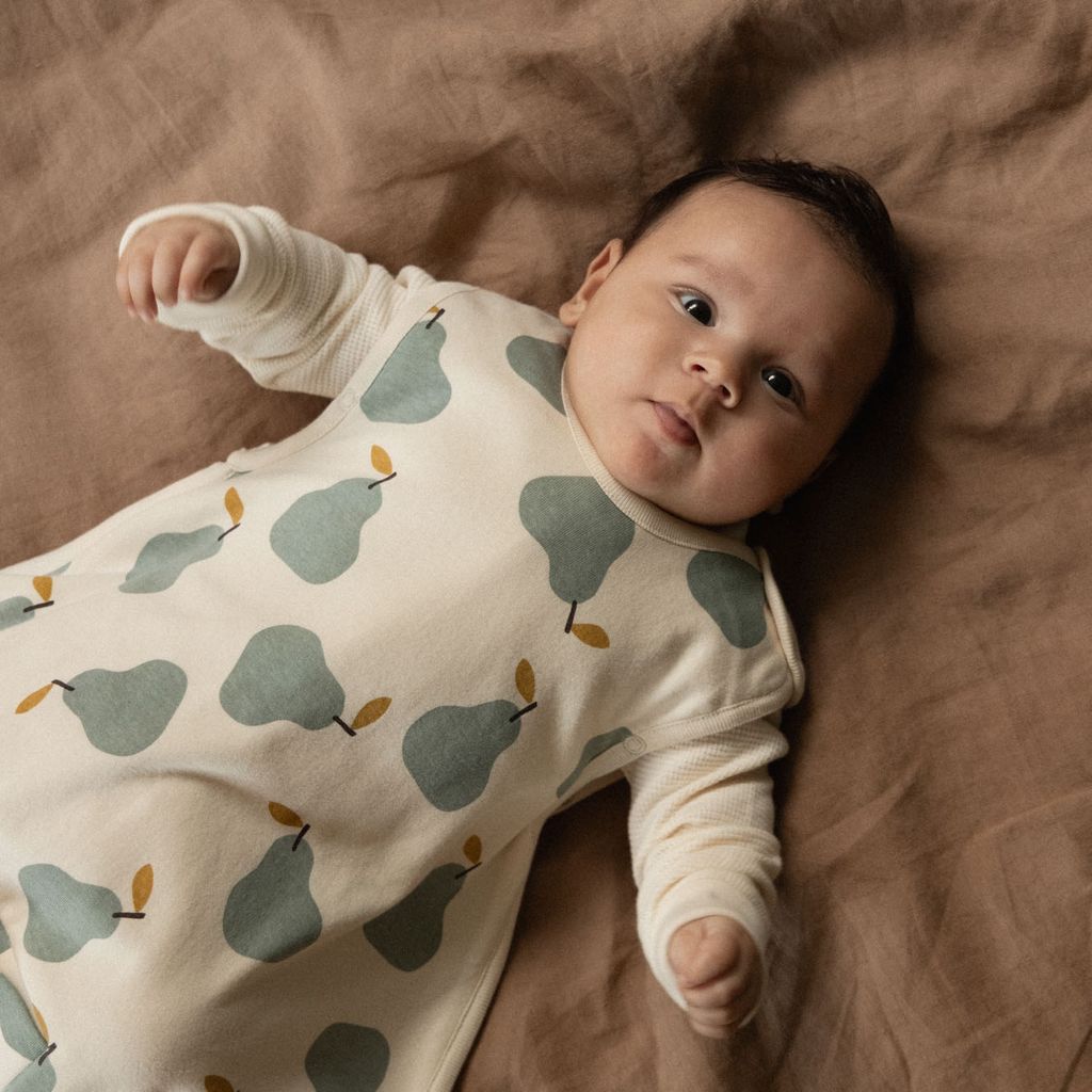 ORGANIC COTTON & MERINO SLEEPING BAG - Pear Print - 3-24M | Nature Baby