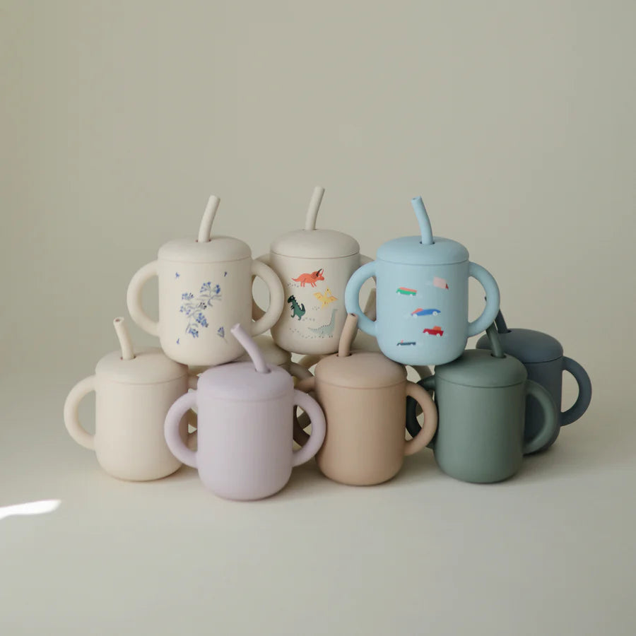 Silicone Training Cup & Straw Blush | Mushie