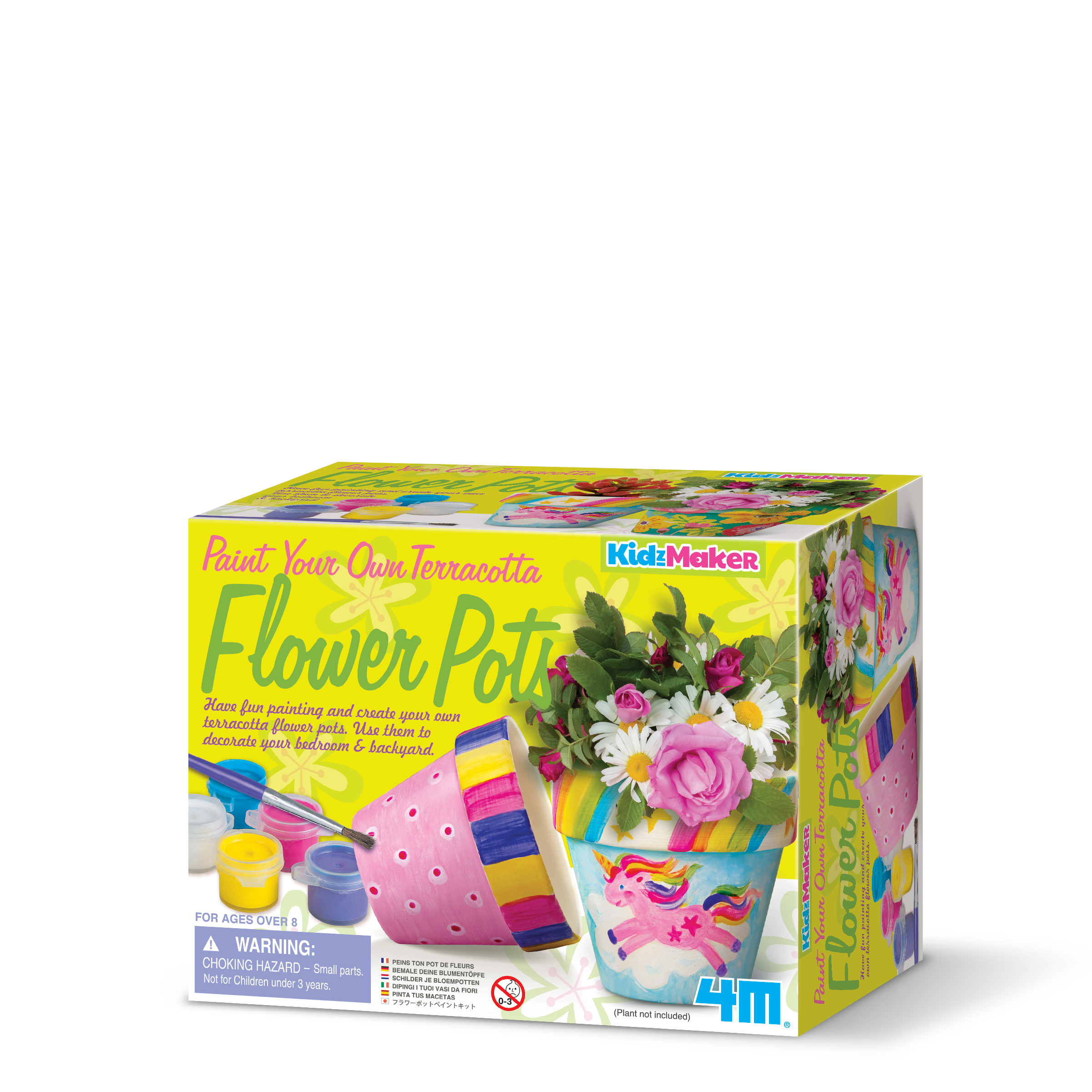 Paint Your Own Flower Pots | 4M