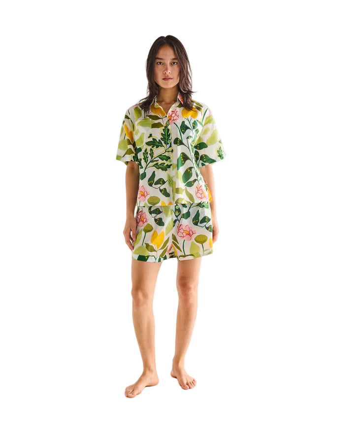Wander Adult Organic Cotton Short Sleeve Shirt & Short Pyjama Set  | Kip & Co