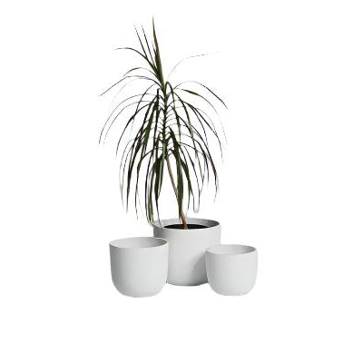 The Mini Rustie Pot White - Medium | Ned Collections
