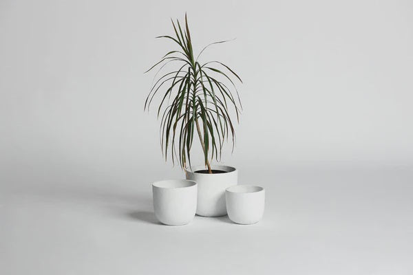 The Mini Rustie Pot White - Medium | Ned Collections