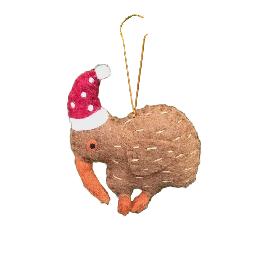 Kiwi Bird with Hat | Pashom
