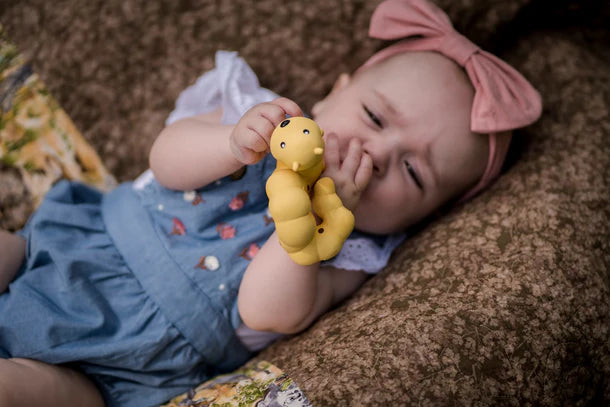 Garden Friends || Caterpillar | Tikiri