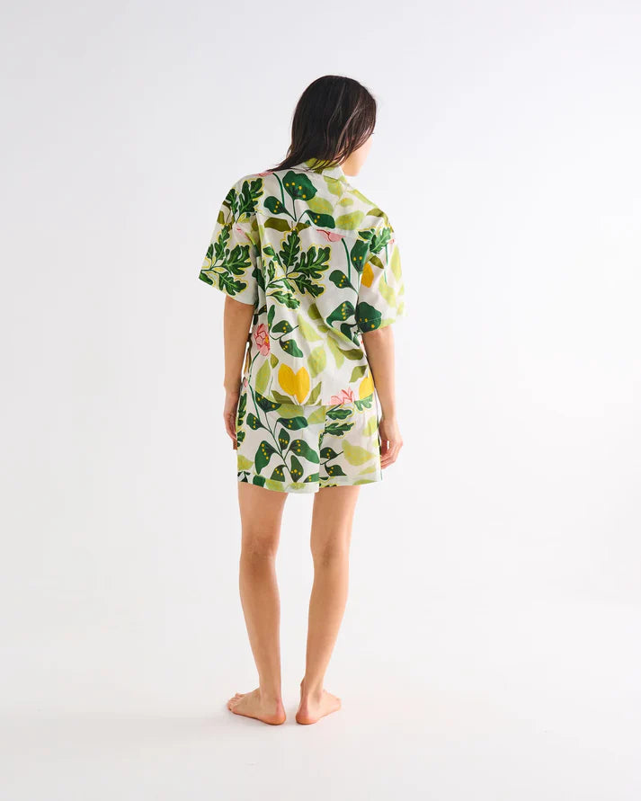 Wander Adult Organic Cotton Short Sleeve Shirt & Short Pyjama Set  | Kip & Co