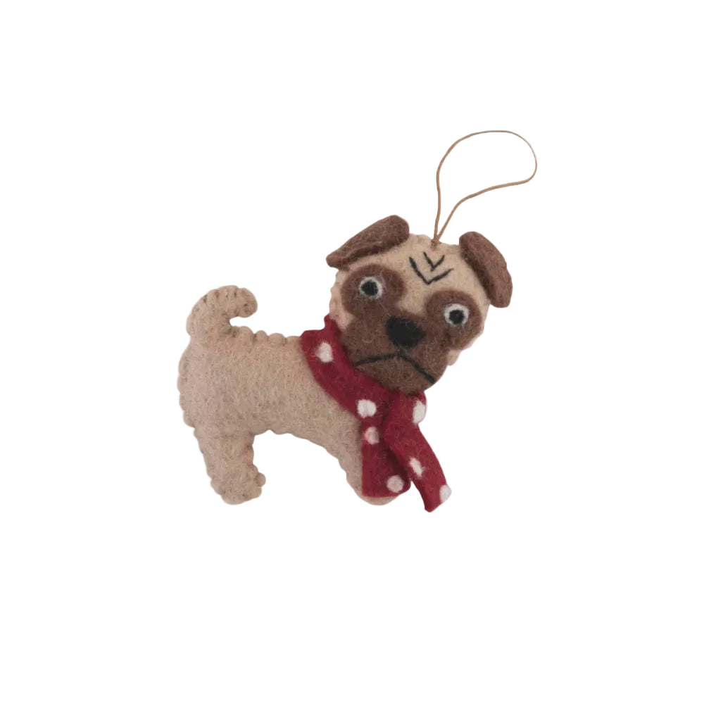 Pug | Pashom