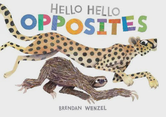Hello Hello Opposites | Brendan Wenzel