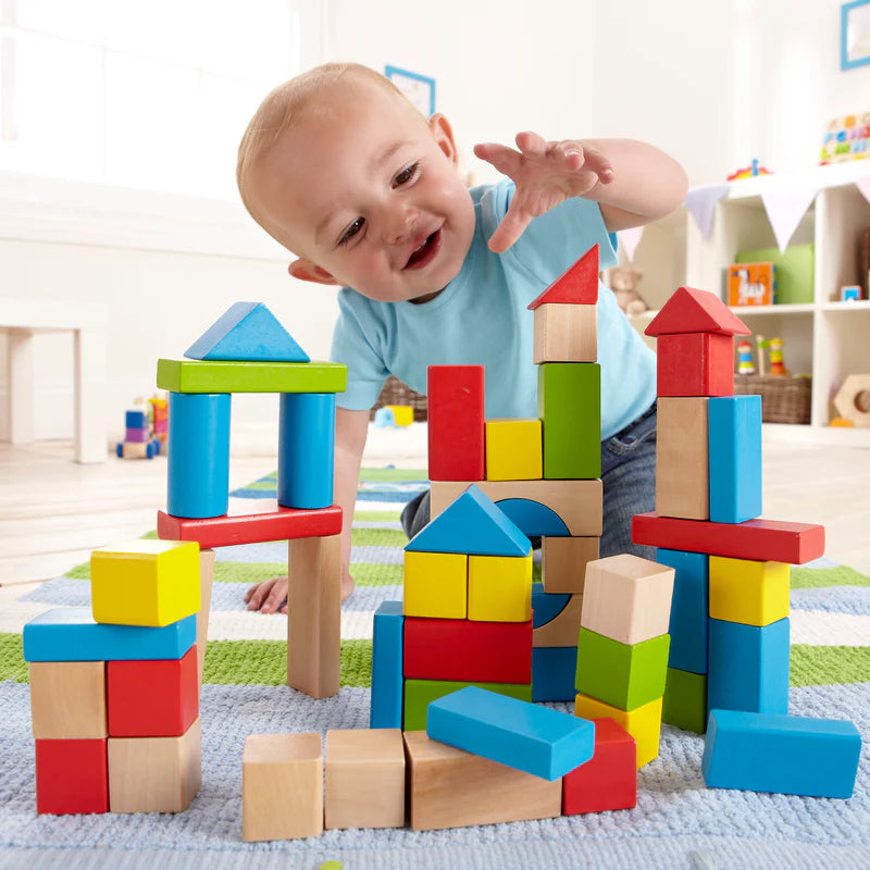 Maple Blocks 50pc | Hape