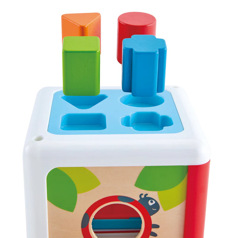 Shape Sorting Box | Hape