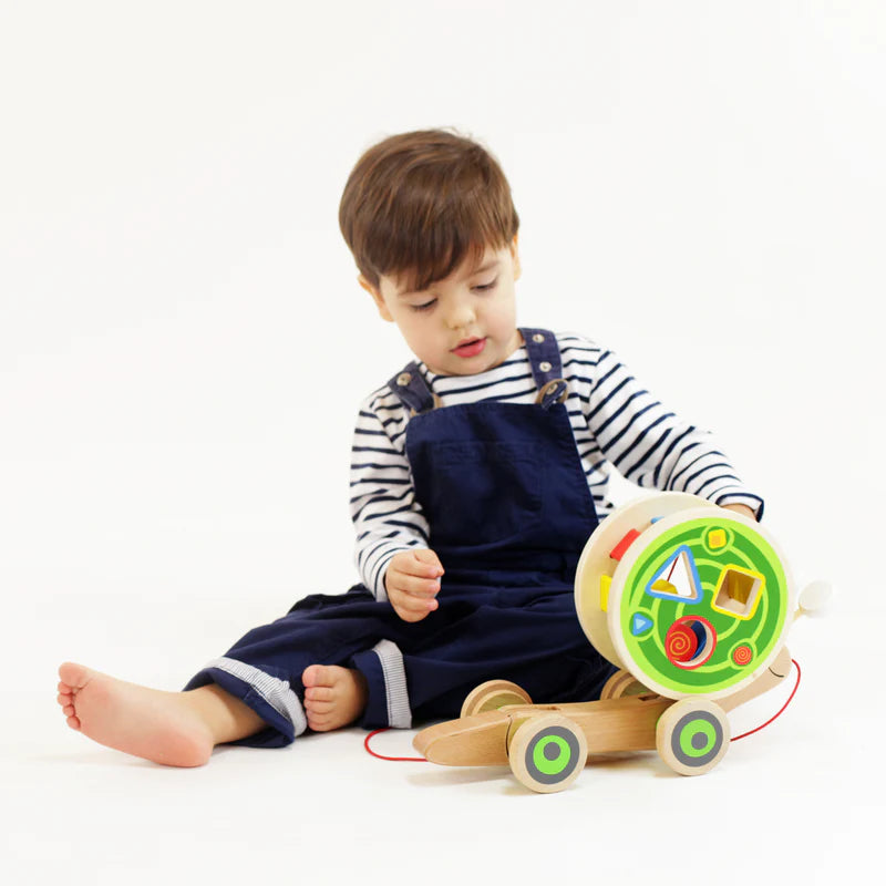Wooden Walk-A-Long Snail | Hape