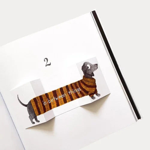 Big and Small and In-Between | Carter Higgins