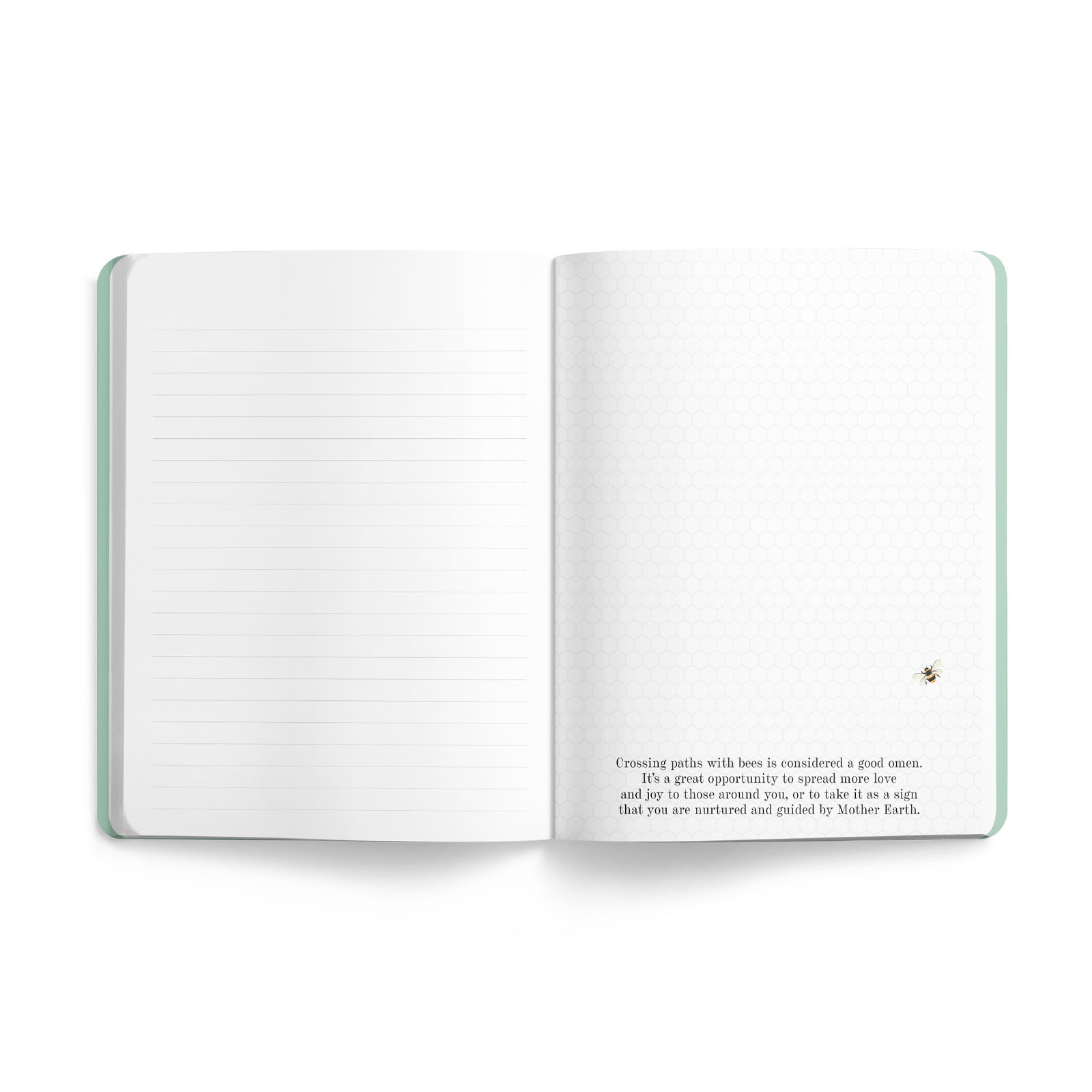 Bee Journal | Twigseeds