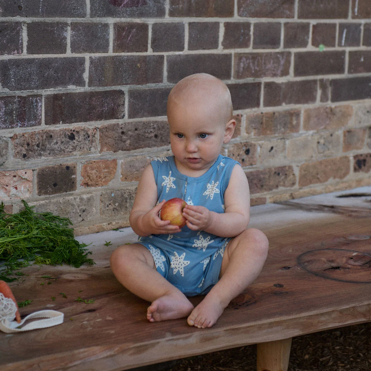 CAMPER SUIT - Sea Stars Print | Nature Baby