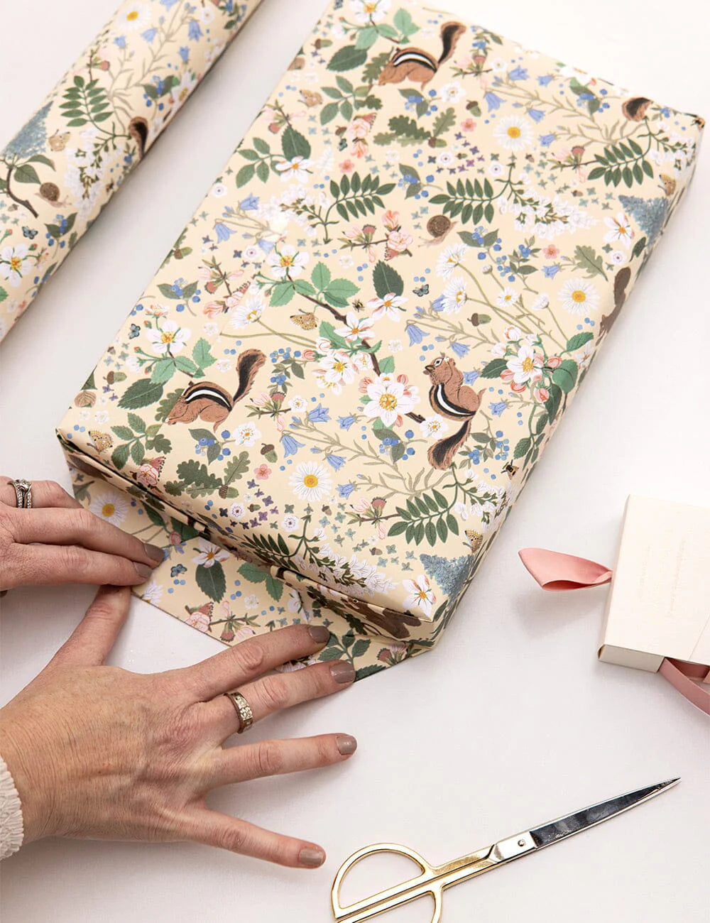 Gift Wrap Roll 3m - Chipmunk | Bespoke Letterpress