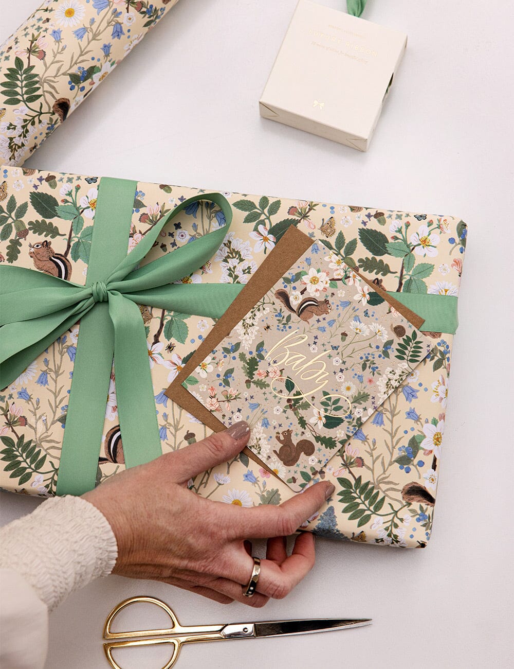 Gift Wrap Roll 3m - Chipmunk | Bespoke Letterpress