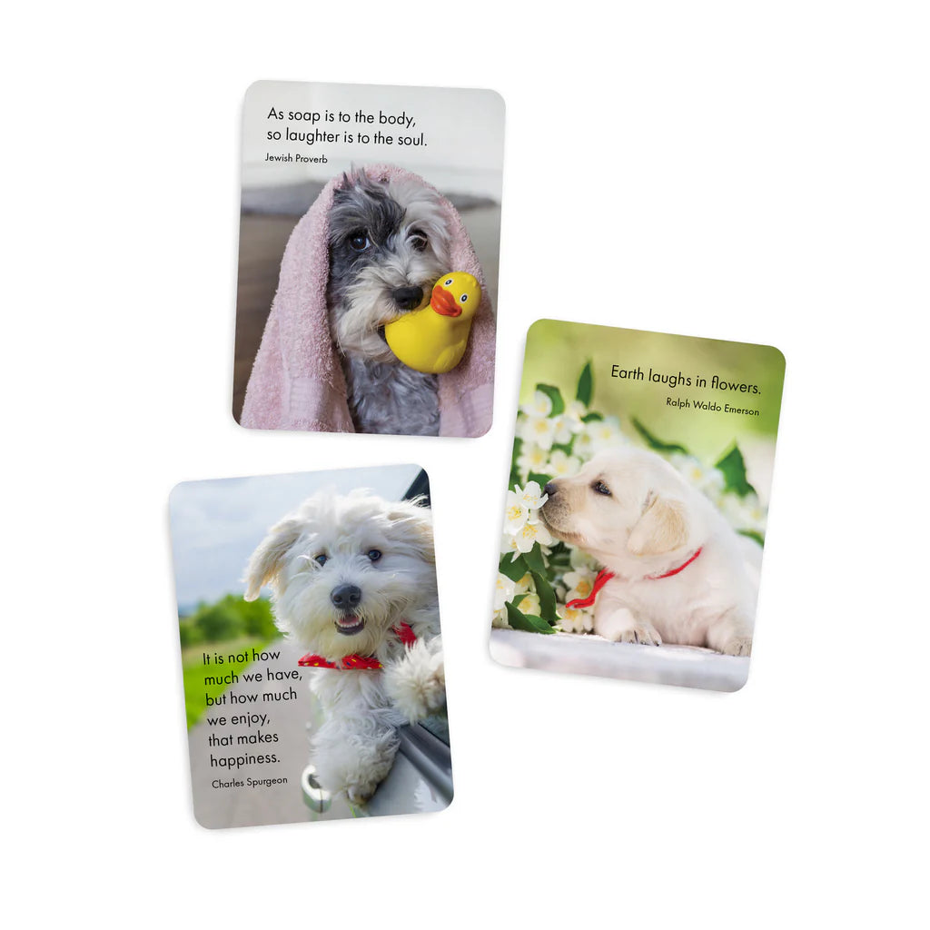 Live Love Bark - Affirmation Cards | Affirmations