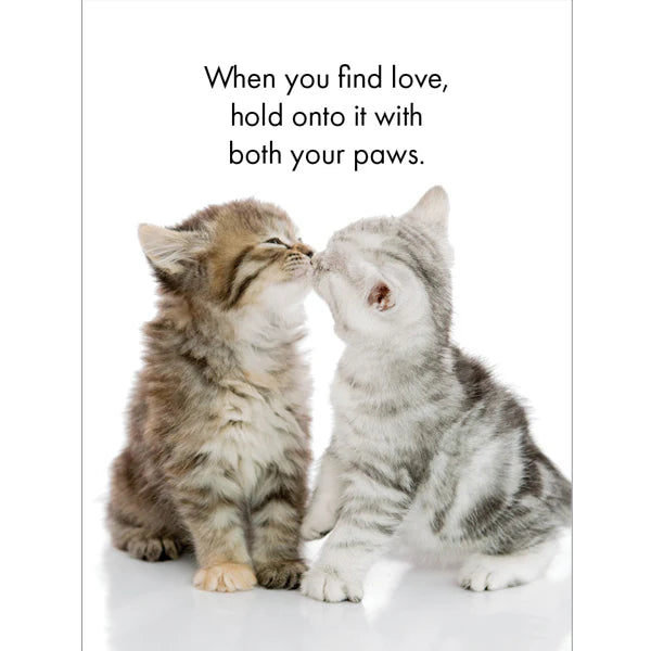The Cats Whiskers - Affirmation Cards | Affirmations