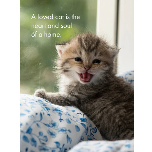 The Cats Whiskers - Affirmation Cards | Affirmations