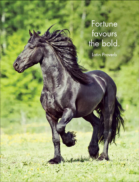 Horse Sense - Affirmation Cards | Affirmations