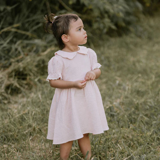 Muslin Trim Dress || Pink | Aster & Oak