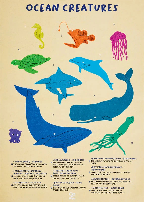 Floor Puzzle 200pc -Ocean Animal | Hape