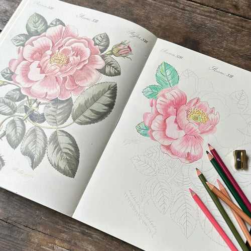 John Derian - Colouring Book Flowers | John Derian