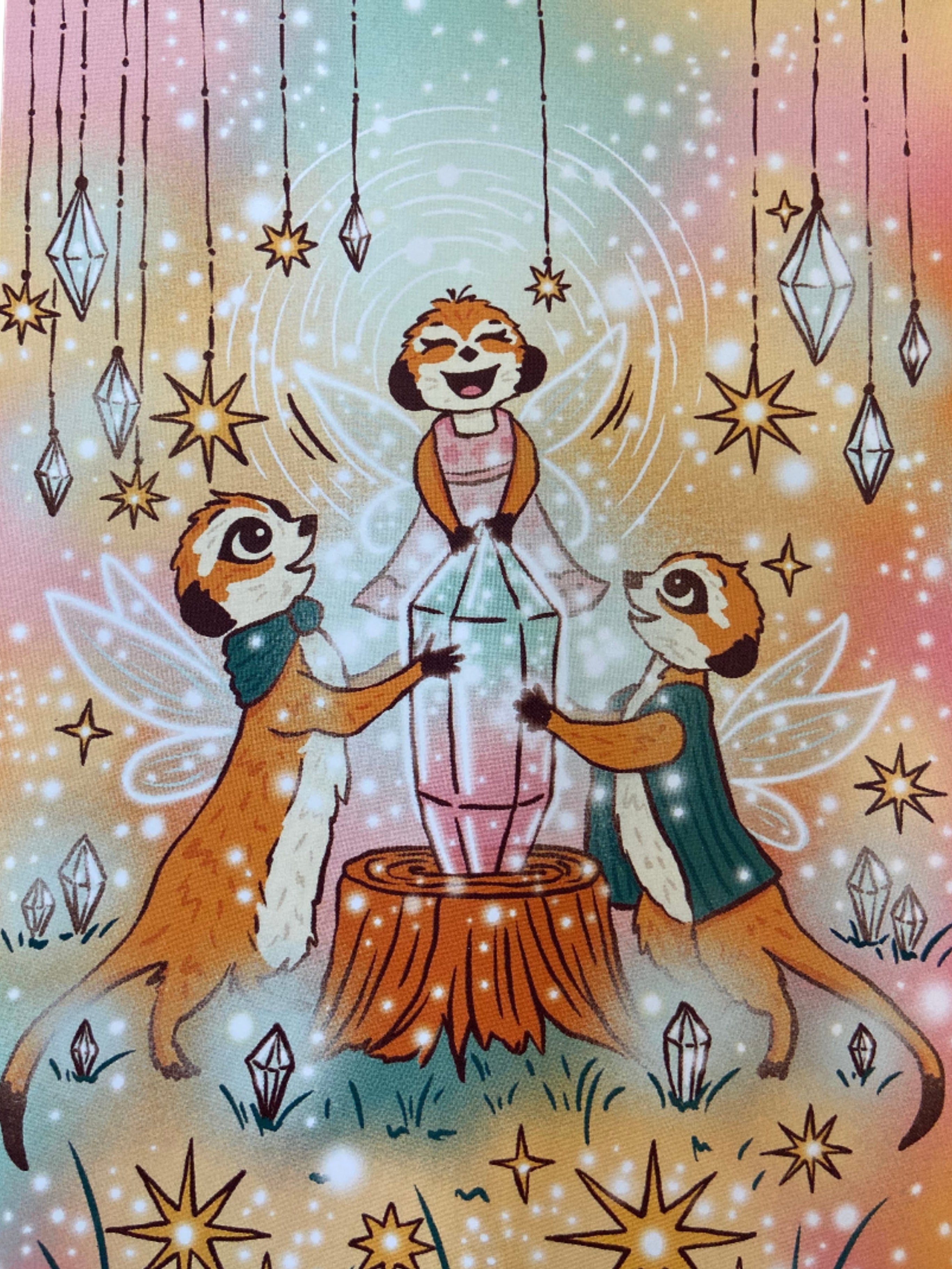 The Meerkat Fairies Save Lumani | Jade Mobberley