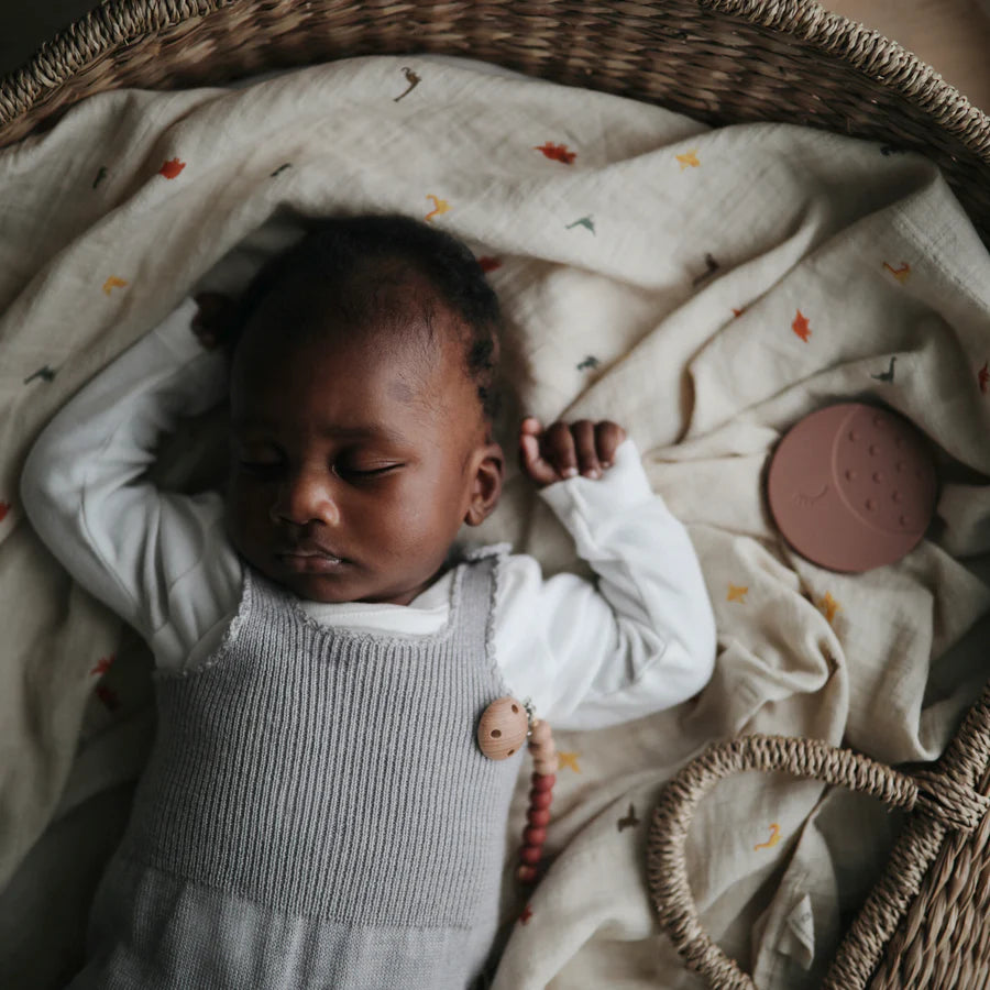 Swaddle - Dinosaurs | Mushie