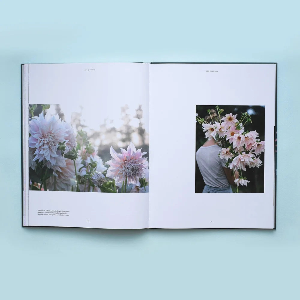 LOST & FOUND | Zoe Field