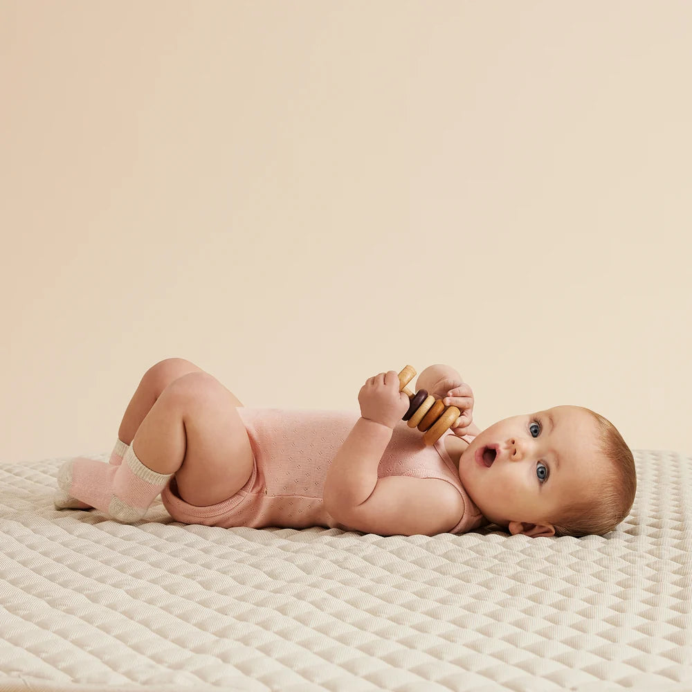 Organic 3 Pack Baby Socks - Cantaloupe - Cotton Nylon Knit | Wilson + Frenchy
