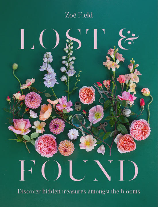 Lost & Found - Hardback | Zoe Field